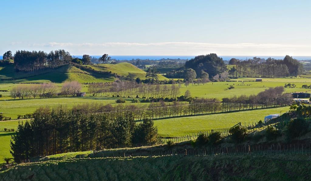 A Touch Of Tuscany At Hillsborough New Plymouth Luaran gambar