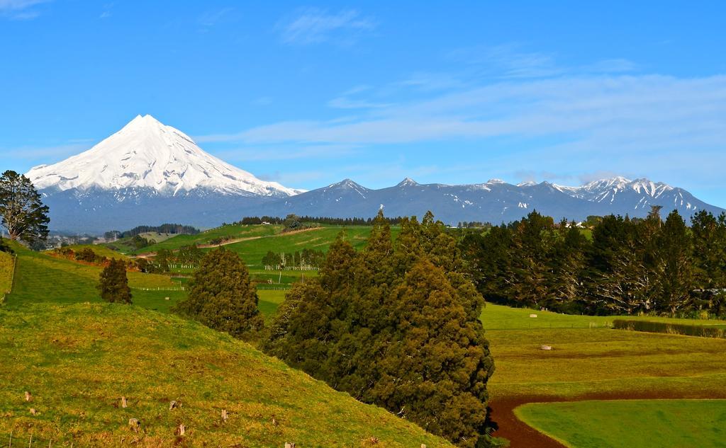 A Touch Of Tuscany At Hillsborough New Plymouth Luaran gambar