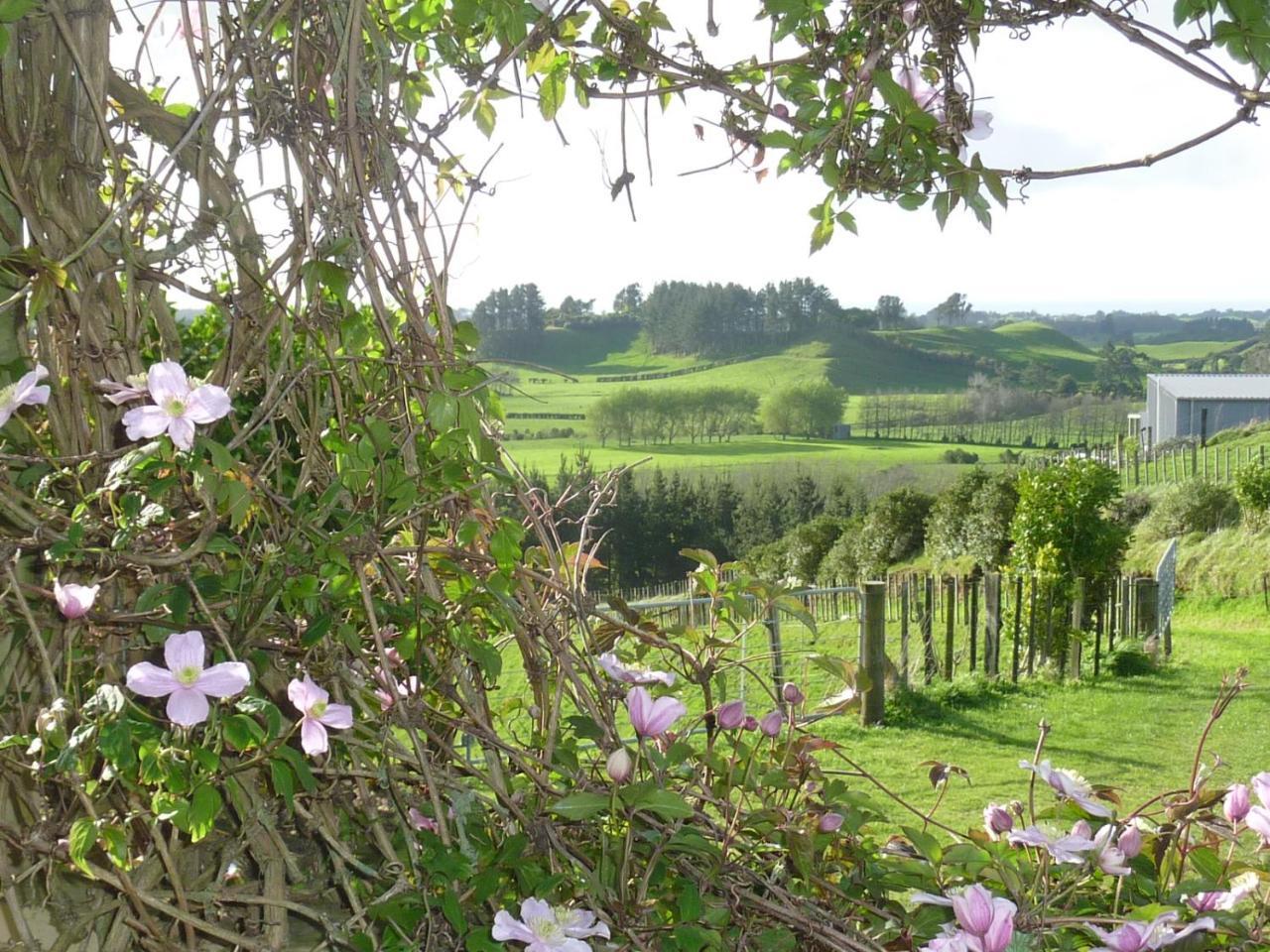 A Touch Of Tuscany At Hillsborough New Plymouth Luaran gambar